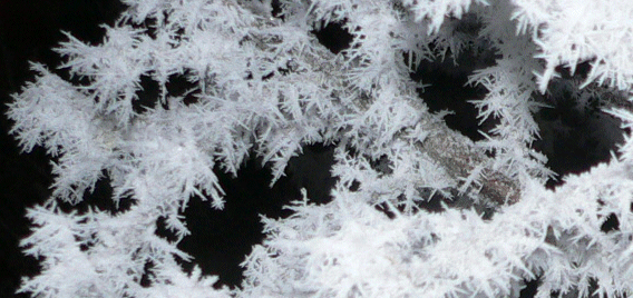 Crystallization & Solid/Liquid Separation Photo